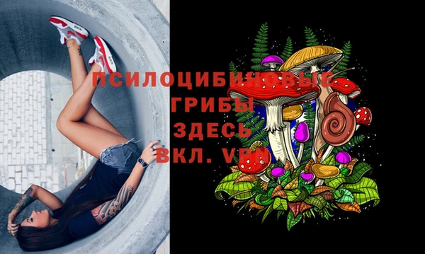 гидра Алексеевка