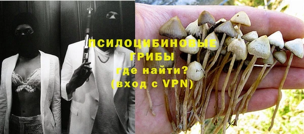 гидра Алексеевка