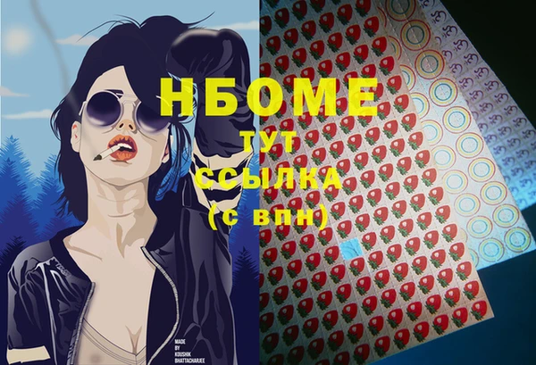 индика Абинск