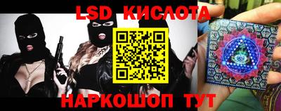 шишки Абинск