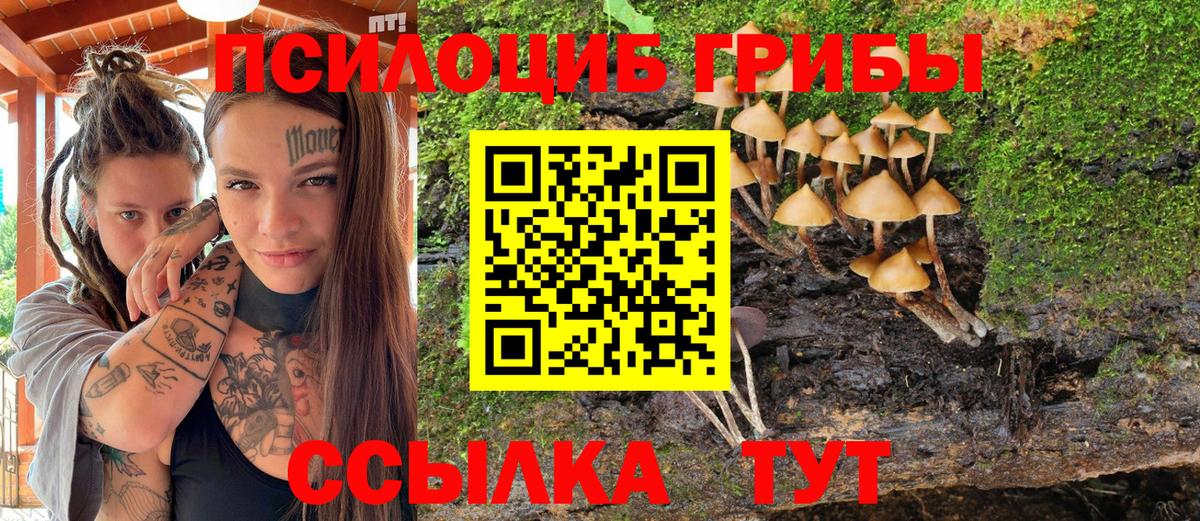 Нягань  Галлюциногенные грибы GOLDEN TEACHER  как найти наркотики  Вход с VPN 