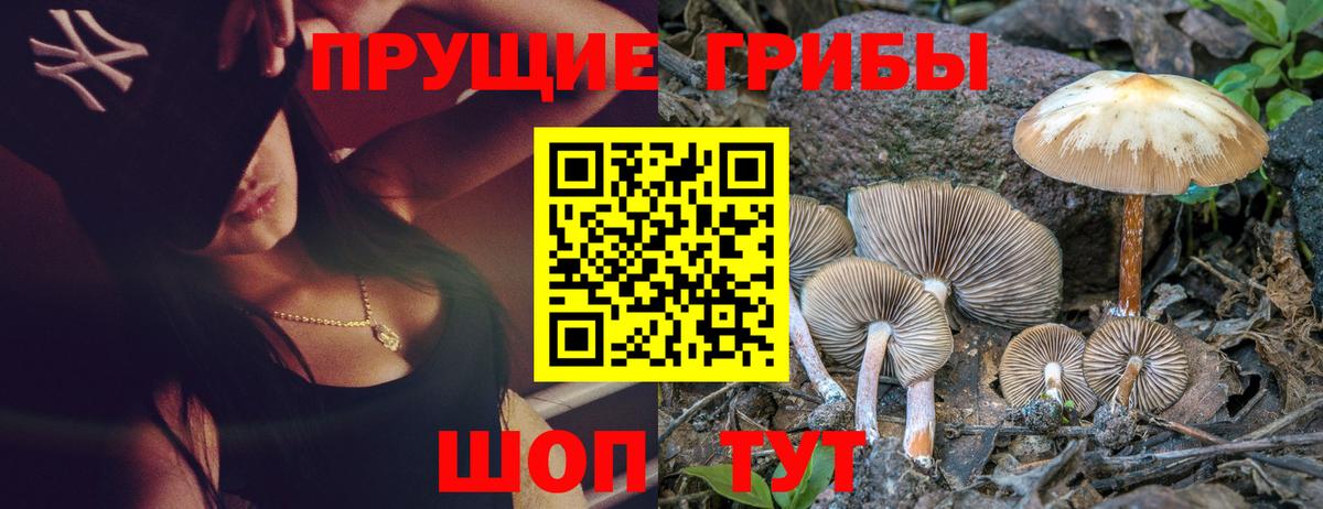 Псилоцибиновые грибы Magic Shrooms Нягань