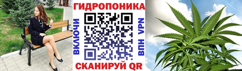 Марихуана гибрид Нягань